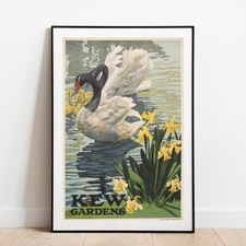 Poster art Kew Gardens Swans