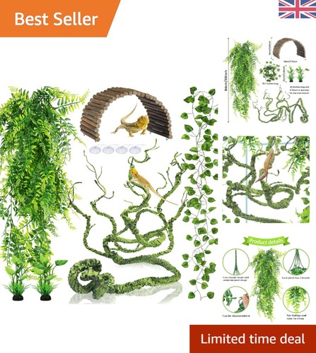 Interactive reptile habitat - interactive,