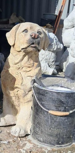 Latex and fibreglass mold - and, to