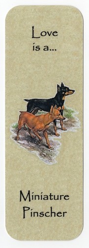 Miniature pinscher min - min, pin