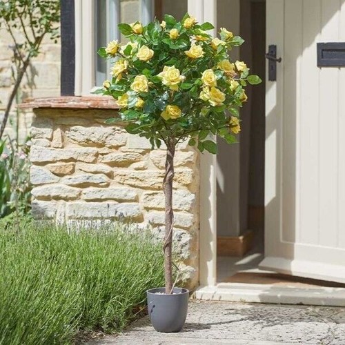 Artificial rose bush - bush, tree
