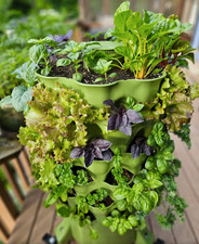 Garden Tower 2 - Vertical