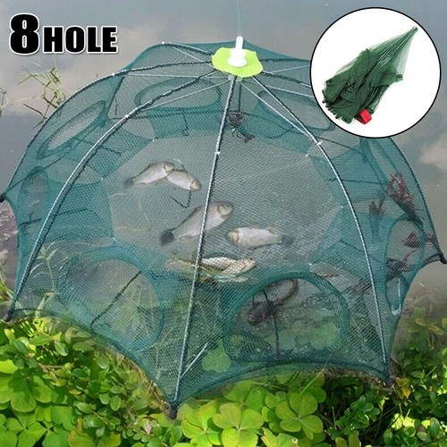 Holes fishing bait trap crab - holes,
