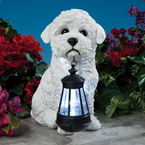 Realistic bichon dog puppy - bichon,