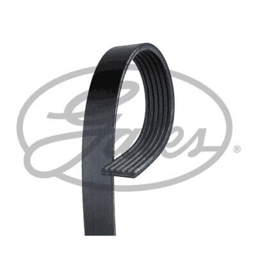 6pk1655 gates ribbed - v-ribbed, belt