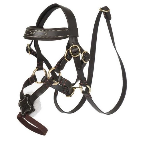 Lemieux toy pony grackle - lemieux,