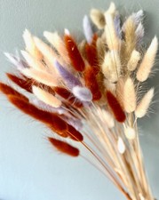 Dried Bunny Tails x 10, 35cm