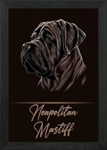 Neapolitan mastiff framed - mastiff,