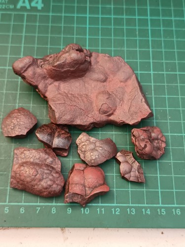 Kidney ore bundle natural - kidney,