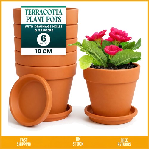 Rustic terracotta plant - terracotta, pots