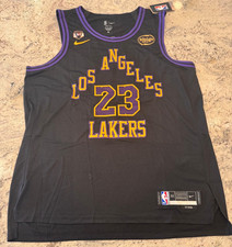 LeBron James Los Angeles
