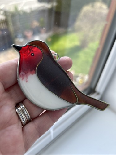 Gorgeous little robin - little, sun
