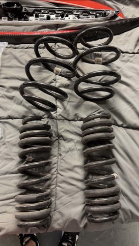 Bmw oem springs - cs,