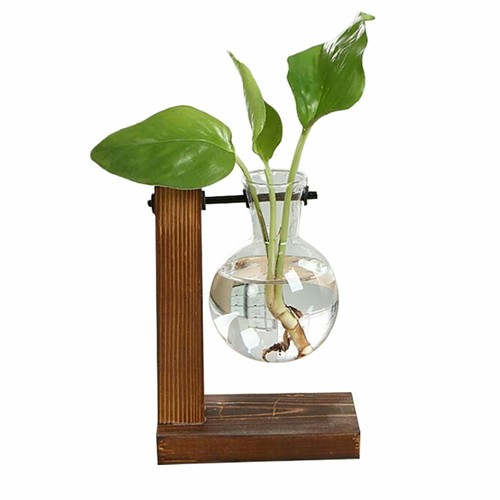 Wooden stand hanging glass - wooden,