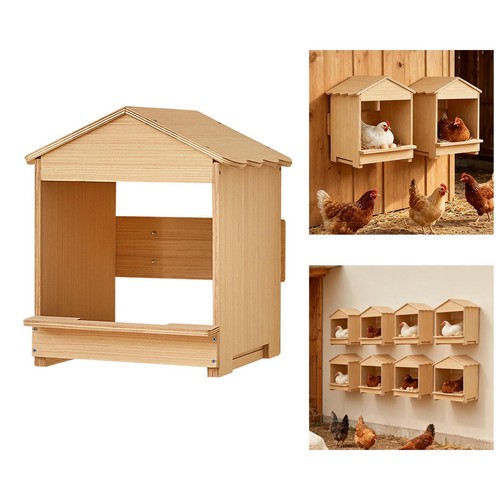 Chicken nesting box sturdy - chicken,