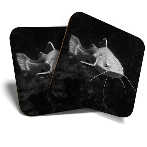 Coasters awesome - x, (bw)