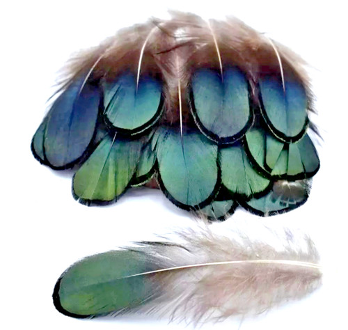20pcs lady amherst - amherst, natural