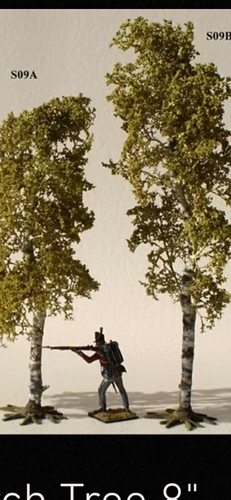 Gauge birch trees 8in - oo,