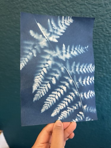 Handmade botanical cyanotype - handmade,