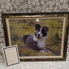 Steven Townsend Limited