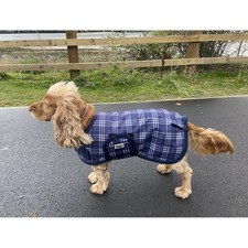 Ruggles Waterproof Dog Coat -