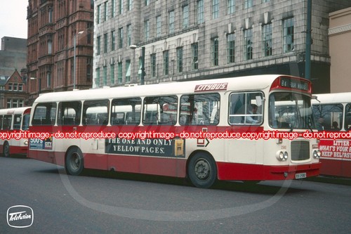 Bus photo citybus belfast - -,