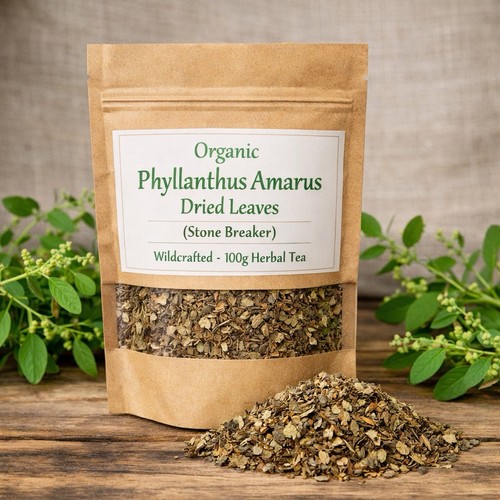Dry phyllanthus amarus - amarus, leaves