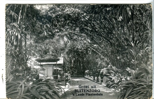 Indonesia netherlands bogor - indonesia,
