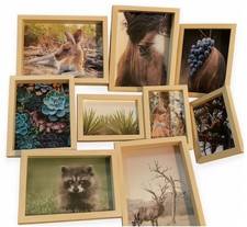 Wall Art Poster Framed Print