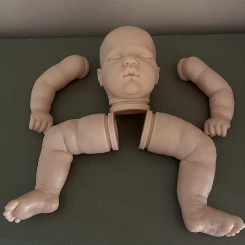 Bountiful baby reborn - bountiful,