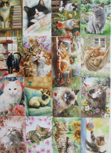 16x hunkydory pocket - 16x, pad