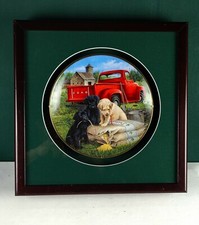 Franklin Mint Seeds Of