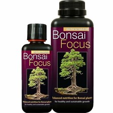 Bonsai focus liquid - bonsai,