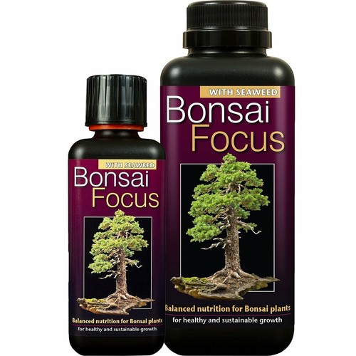Bonsai focus liquid - focus,