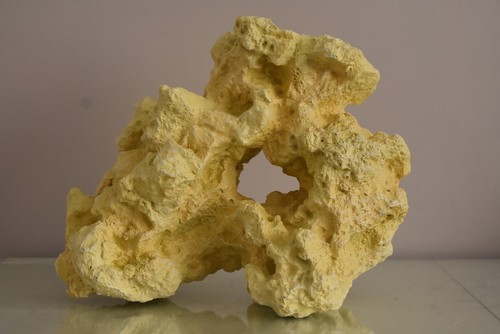 Stunning large detailed coral - stunning,