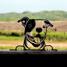 Peeking Staffie Metal Bull