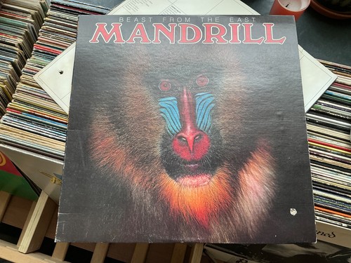 Mandrill beast from the - ,,