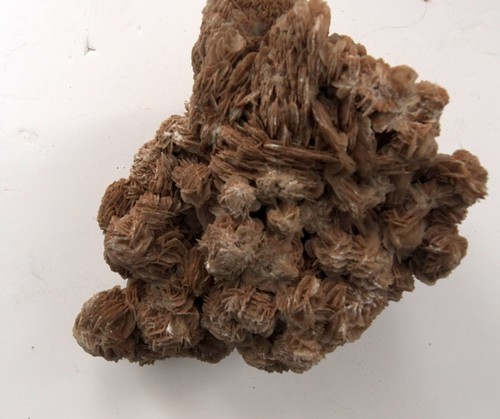 Huge gypsum desert rose - gypsum,
