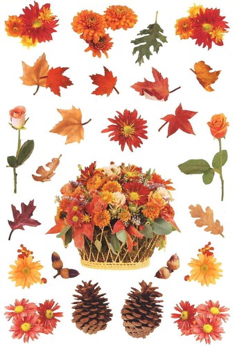 Photo autumn flower - 6",