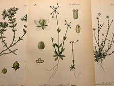Illustration pictures - illustration,