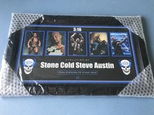 Evolution of Stone Cold Steve Austin - Framed WWE WWF