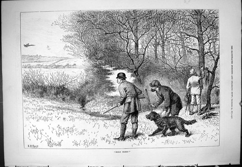 Original old antique print - original,
