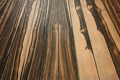 Amara asian striped - striped, ebony