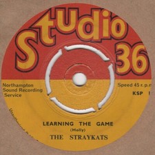 Straykats Learning The Game