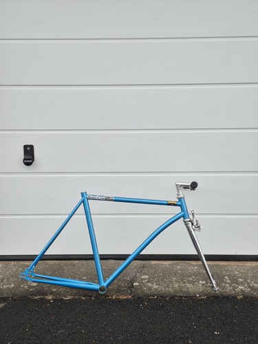 Custom steel fixie - custom,