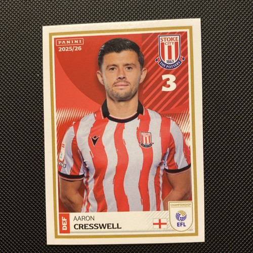 Panini efl stickers - efl,
