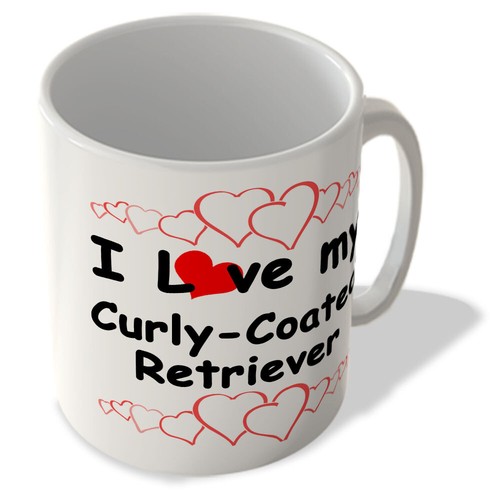 Love curly coated - i, my