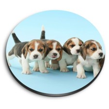 Round MDF Magnets - Beagle