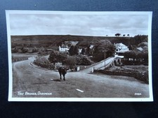 Devon DARTMOOR Two Bridges Hot showing COW ON ROAD c1950s RP Postcard by R.A.P.