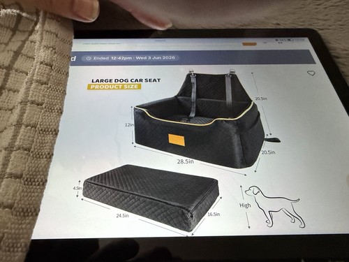 Dog car seat - dog, belt